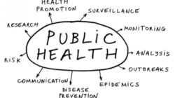 Public Health: What’s Societal Support Got To Do With Your Health