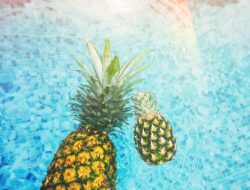 The Health Benefits of Pineapple: A Tropical Fruit Packed with Nutrients