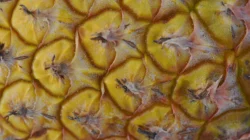 Health Benefits of Pineapple Skin Tea