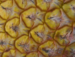 Health Benefits of Pineapple Skin Tea & Peel: a Tropical Drink for Your Wellness Journey