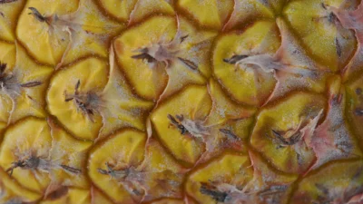 Health Benefits of Pineapple Skin Tea & Peel: a Tropical Drink for Your Wellness Journey