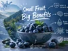 Health Benefits from Blueberries: What the Evidence Really Shows