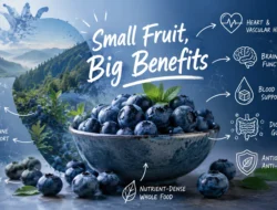 Health Benefits from Blueberries: What the Evidence Really Shows