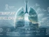 Lung Transplant for Mesothelioma: Eligibility, Risks, Procedure, and Prognosis