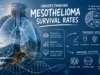 Mesothelioma Survival Rates: Prognosis, Statistics, and Factors That Affect Survival